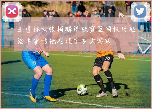 王哲林向张镇麟请教剪篮网技巧经验丰富的他在辽宁多次实践